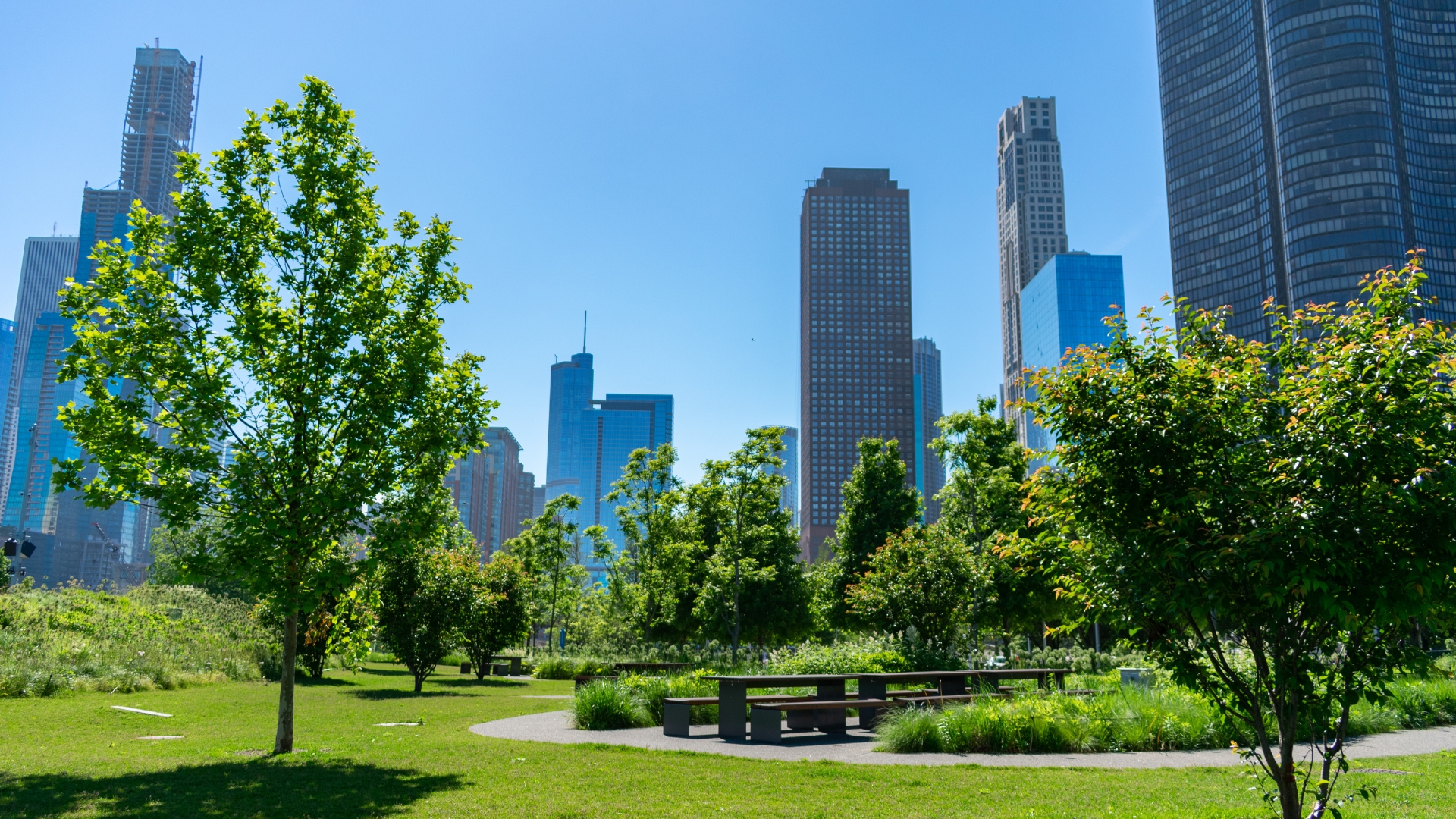 Best Apartments in Streeterville Chicago