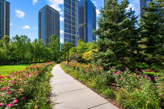 Average Rent in Lakeshore East Chicago